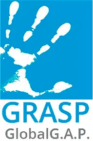 Grasp